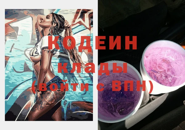 индика Балахна