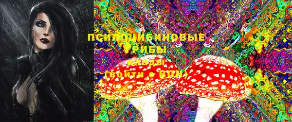 индика Балахна