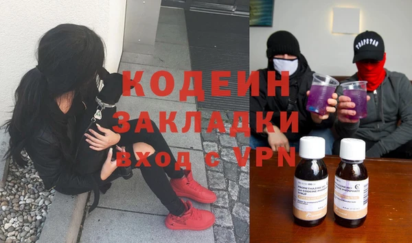 индика Балахна