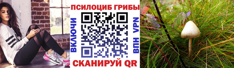 Галлюциногенные грибы ЛСД  MEGA вход  Котово 